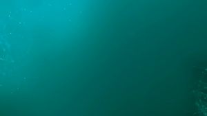 Makita 18V LXT Cordless Combo ( DCL286 18V Brushless Vacuum Cleaner / DCF102 18V Cordless Fan )