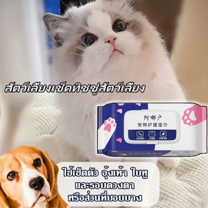 5แพ็ค !! แผ่นเช็ดแมว แผ่นเช็ดตาสุนัขและแมว ผ้าเช็ดตาและหู ทิชชู่เปียกเช็ด ทำความสะอาดสัตว์เลี้ยง ทิชชู่เปียก80แผ่น