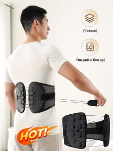 Curved Back Plate & Adjustable Waist Support: A Comprehensive Guide