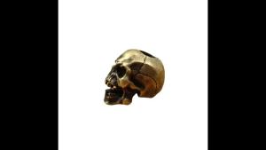 Cuspid Teeth Skull Head Brass Paracord Beads Lanyard Pendants DIY EDC Outdoor Tool Umbrella Rope Woven Knife Charms Accessories