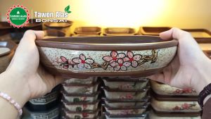 Pot Bonsai Keramik Oval Lonjong