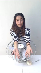 Standard Orbit Fan SOF-18Q | 18" Plastic Banana Blade - 4-Speed Remote Switch - Thermal Fuse Protection - Voltage: 230V - 60Hz - Wattage: 75 Watts