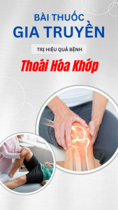 PQA Thoái Hóa Khớp bồi bổ can thận khu phong tán hàn sinh tân trừ thấp nuôi dưỡng xương khớp gân cơ khỏe mạnh