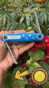Bộ lục giác đầu bông có lỗ 8 chi tiết T9-T40 C-MART F0195