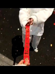 50Pcs迷你紅包封 紅包封2025 创意红包 硬币蛇年小红包 Mini Envelope CNY Small Angpao Packet Lucky Money Bags 2025 Red Packets Gifts