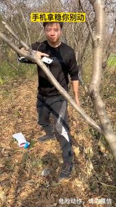 GIẢM GIÁ SỐC LẤY ĐÁNH GIÁ HÀNG LOẠI LỚN NHẤT Cưa cầm tay gấp gọn Cưa cây cưa gỗ cưa xếp lưỡi thép hợp kim