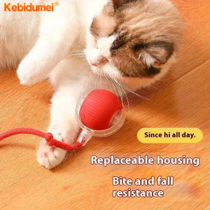 Kebidumei Smart Cat Toy: A Fast Rolling & Automatic USB Charging Electric Cat Ball Toy