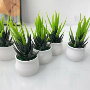 Exquisite Simulation Potted Artificial Fake Flower Potted Plastic Simulation aloe vera potted desktop decoration office decoration Lifelike Beauty for Your Space