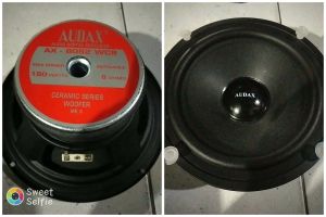 speaker 8 inch audax subwofer