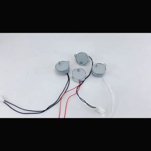 220V Egg Turner Synchronous Incubator Motor: A Comprehensive Guide