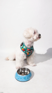 Bark & Spark Official Disney – Melamine Pet Bowl with Stainless Steel Insert and Non-Skid Base