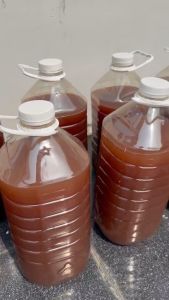 VI SINH RHODO DẠNG BỘT CÔ ĐẶC Men thúi - Vi Khuẩn tía - Vi sinh quang hợp