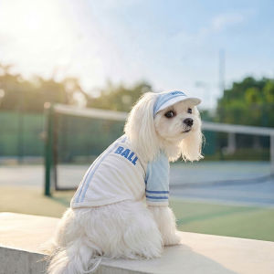 hipidog | Áo Chống Nắng Mùa Hè Cho Chó Có Cái Mũ