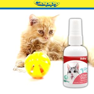 PAW HERO Bioline Catnip Spray Natural Catnip Spray for Cats 50ml