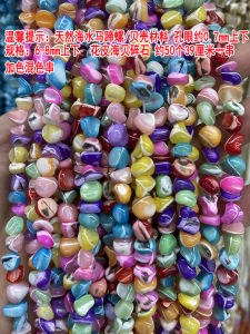 น้ำมันมังกรน้ำทะเลธรรมชาติ หอยหอยลายดอกไม้ หินปูนขนาดเล็ก 6-8 มม. เครื่องประดับ DIY สำหรับสร้อยคอและสร้อยข้อมือ