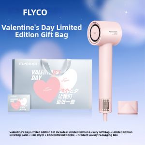 Flyco | Negative Ions Quick Drying Intelligent Temperature Control Hair Dryer