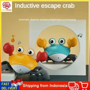 Induction Crab Mainan Anak Kepiting Berjalan - Kepiting Berjalan Air dan Darat - Walking Crab - Mainan Anak Simulasi Pet