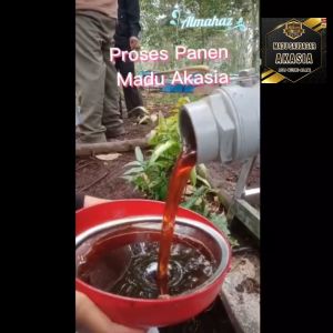 Saudagar Madu Asli Akasia Pahit Murni Alami Grade A+ Raw Honey Madu Pahit Hutan Jambi No Madu Baduy