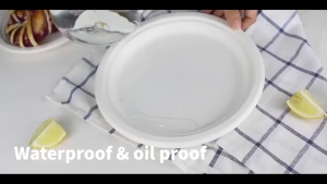 （50pcs）Disposable Plate 9-10" Extra Strong Extra Thick Microwave Safe Paper Plate Cut Oil Resistant