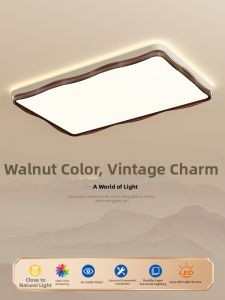 DGY | Retro Creative Eye-Protective Ceiling Light 184H