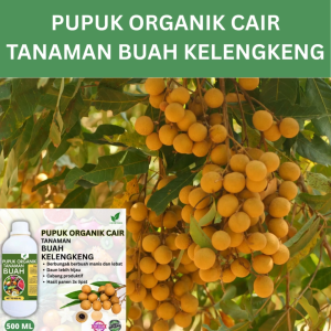 Pupuk Buah Kelengkeng 500 ML /Pupuk Booster Kelengkeng Cepat Berbuah Lebat/Pupuk Cair Kelengkeng