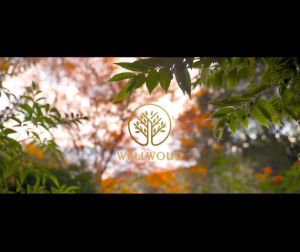 【WELLWOUD 7 CHAKRAS FOR ENERGY HEALING】PREMIUM AGARWOOD ESSENTIAL OIL BLEND | 100% PURE NATURAL | 纯天然檀香精油