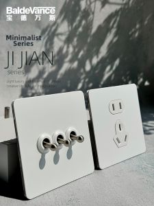 BaldeVance | Vintage Toggle Switch Outlet Dual Switch Single Control
