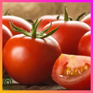 SeedsPLAZA™ - Tomato Seeds for Planting Vegetable Plants (25 Seed) Organic Vegetables Plant for Pots