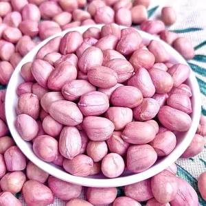 Freshly Peeled Shelled Peanut Large Size Selection Henan BaiSha