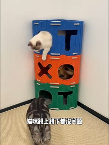 สักหลาดxo บ้านแมว แมวครอก อุโมงค์แมว บ้านแมวซ้อนชั้น เกาคณะกรรมการ รังแนวตั้ง มัลติฟังก์ชั่ แมวเกาคณะกรรมการ บ้านปราสาทแมว