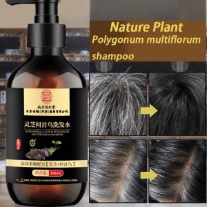 Reishi He Shou Wu Shampoo Oil Control Refreshing Shampoo Herbal Natural Health White Hair To Black Hair Repair Damaged Hair