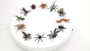 Isi 12 Set Mainan Insect Mainan Edukasi Anak Binatang Serangga Karet Set Realistic Bugs Figures Toy