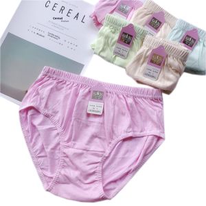 Cotton High Waist Womens Briefs