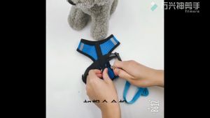 Pet High Quality Pet Dog Harness with Leash Cat Puppy Fashion Harness Mesh Vest + Leash Lead Set