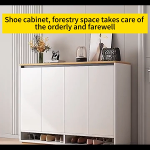 Shoe Cabinet For Home Entryway Large Capacity Hallway Cabinet Modern Minimalist Balcony Storage Cabinet Small Apartment Outdoor Simple Shoe Rack Multifunctional Dustproof Organizer For Living Room And Corridor