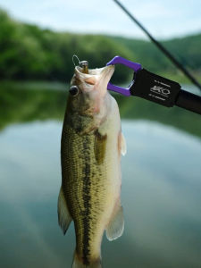 Kingdom 1 chiếc kẹp bắt cá chống ăn mòn hoàn toàn bằng nhôm có tay cầm chống mặc trượt EVA | kẹp mạnh mẽ ngăn cá thoát ra kiểm soát cá dễ dàng