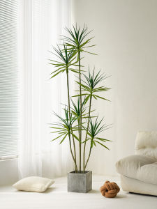 LIANYOU | Luxury Indoor Dracaena Plant Replica