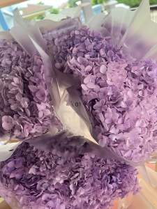 พร้อมส่ง ดอกไม้แห้ง ไฮเดรนเยีย ดอกไฮเดรนเยีย presreved อยู่ได้นานมากกว่า 2 ปี ราคาหัวละ 350 บาท