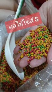 💥F4อาหารนกผลไม้รวม Size s ผลไม้รวม 1000g. 👍 F4 อาหารนกแบ่งขาย1kg💥 F4 อาหารผลไม้รวม อาหารนกกรงหัวจุก