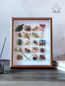 Original Handmade Natural Flower And Plant Specimen Artwork Decorative Gift for Couples Chinese Traditional Style Framed Picture