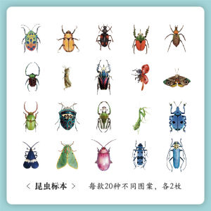 Nhà Hát Tự Nhiên Sticker Sổ Tay Hoa Bướm Cổ Điển Cho Trẻ Em Sticker Sổ Tay Trang Trí Văn Phòng Phẩm Văn Hóa