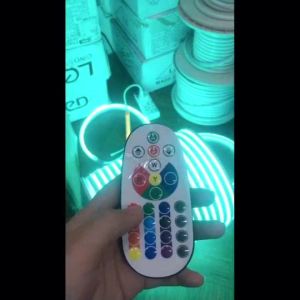 VCmall IP67 Outdoor Waterproof RGB LED Strip Light Smart Bleutooth Control RGB Neon Strip Light 2835 Flexible LED Neon Rope Light EU 10mm* 20mm