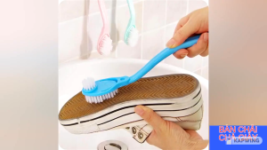 ( BCCG 046 )bàn chải chà giầy và giặt giầy đa năng 2 in 1 tay cằm công