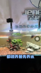 Digicrisp Purify Water Quality PR 01 Vật Liệu Lọc Cao Cấp Cho Bể Cá Jeneca