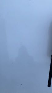 Rown Division Bagpack Phantoms Black Grey