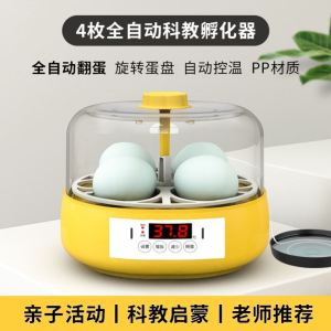 Miniature Automatic Intelligent Incubator for Home Use Duck Goose Pigeon Bird Chicken Egg Hatcher Small Hatchery Machine