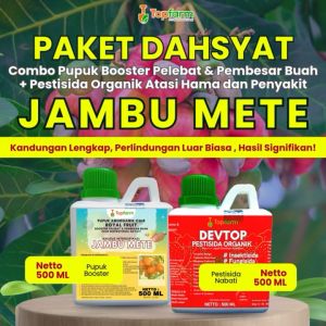 Pupuk & Pestisida Topfarm untuk Buah Jambu Mete