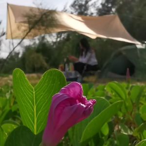 S123กรรไกรตัดเล็บ ช้อนส้อมพกพา เป็นพวงกุญแจ มีดไขควงเล็กสะดวกพกพาพับเก็บได้Multifuction 6710in1