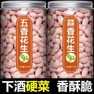 Garlic Flavored Roasted Peanuts 500g