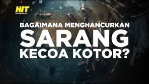 HIT Anti Kecoa Spray 150ml: Penyemprotan Kecoak Rumah yang Efektif